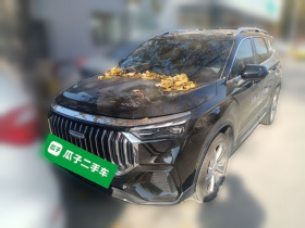 吉利汽车 豪越L 2024款 2.0T DCT尊贵型