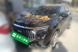 吉利汽车 豪越L 2024款 2.0T DCT尊贵型