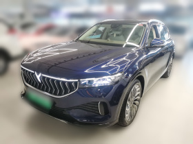 岚图汽车 岚图FREE 2021款 两驱标准纯电城市版