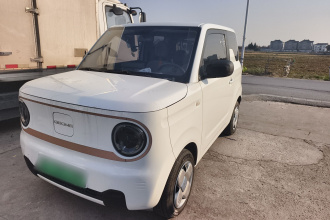 吉利银河 2024款 熊猫mini 200km 耐力熊