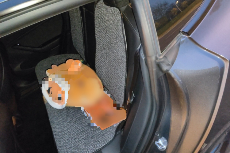 特斯拉 Model 3 2022款 后轮驱动版中控内饰7004