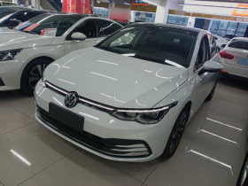 大众 高尔夫 2021款 280TSI DSG Pro