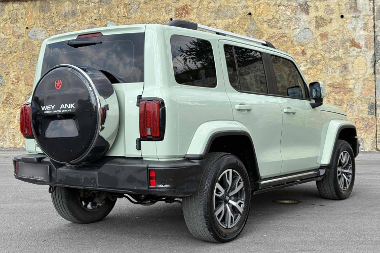 坦克300 2021款 城市版 2.0T 很有型车身外观6005