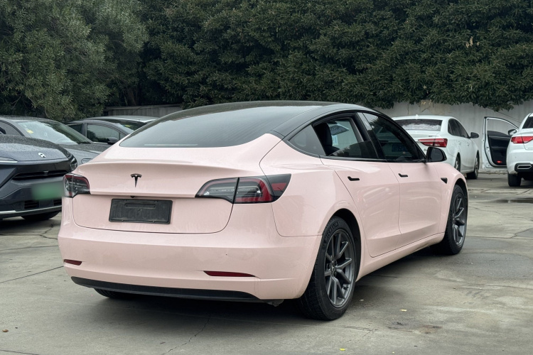 特斯拉 Model 3 2020款 标准续航后驱升级版车身外观6006