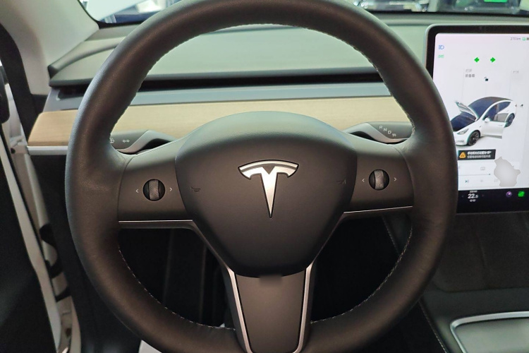 特斯拉 Model Y 2021款 长续航全轮驱动版 3D7局部细节13