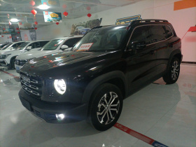 哈弗大狗 2021款 1.5T DCT两驱边牧-旺财版