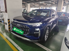 奥迪Q6 2024款 50 TFSI quattro 行云型 羽林套装 6座