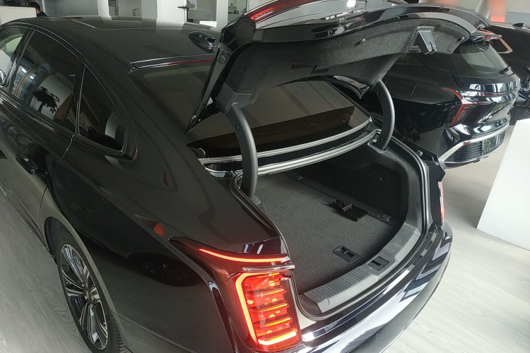 红旗H9 2024款 2.0T 旗畅 私享风尚版机舱底盘23