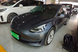特斯拉 Model 3 2020款 改款 长续航后轮驱动版