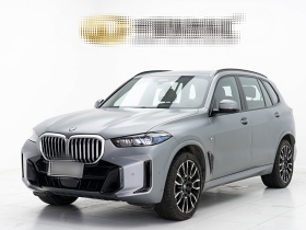 宝马X5 2023款 xDrive 40Li M运动曜夜套装