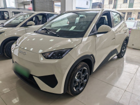 比亚迪 海鸥 2025款 智驾版 305km 活力版