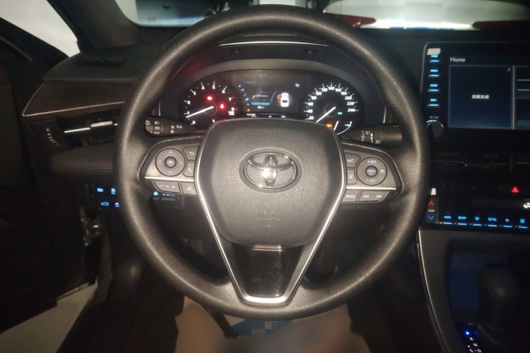 丰田 亚洲龙 2019款 2.5L 进取版 国VI局部细节13