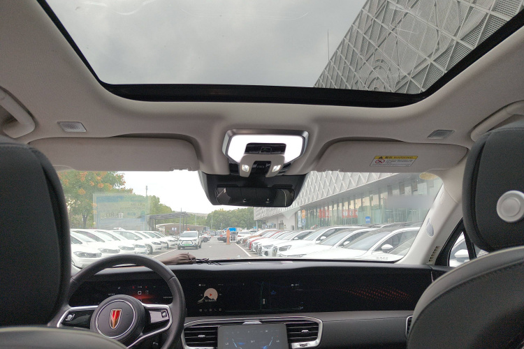 红旗E-HS9 2021款 460km 旗享版 六座局部细节22