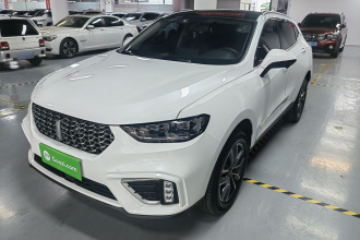 魏牌 VV5 2021款 1.5T 两驱颜先锋