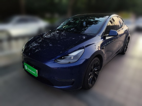 特斯拉 Model Y 2021款 长续航全轮驱动版
