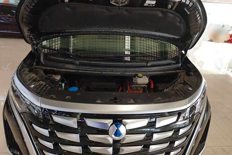 腾势D9 2024款 DM-i 980 四驱旗舰型局部细节24