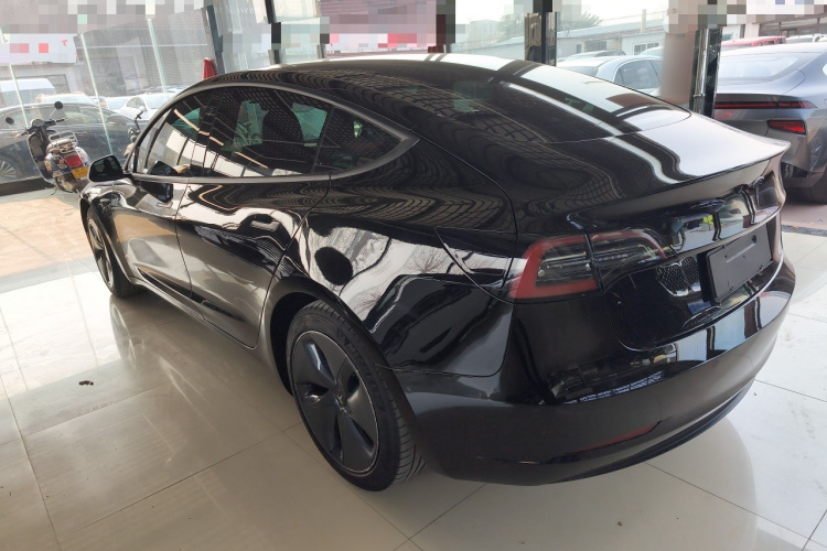 特斯拉 Model 3 2020款 标准续航后驱升级版车身外观6003