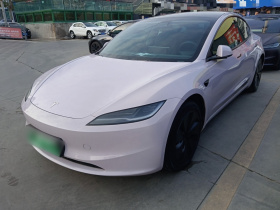 特斯拉 Model 3 2023款 后轮驱动版