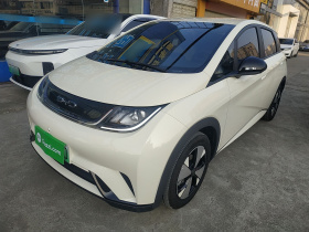 比亚迪 海豚 2023款 420km 自由版