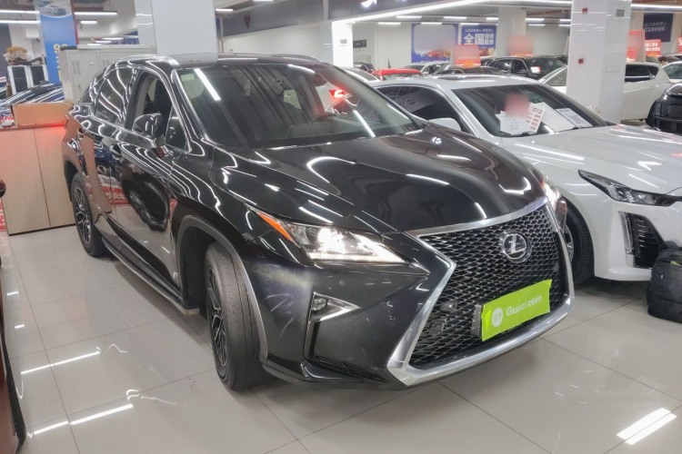 雷克萨斯RX 2016款 300 两驱精英版 国V车身外观3