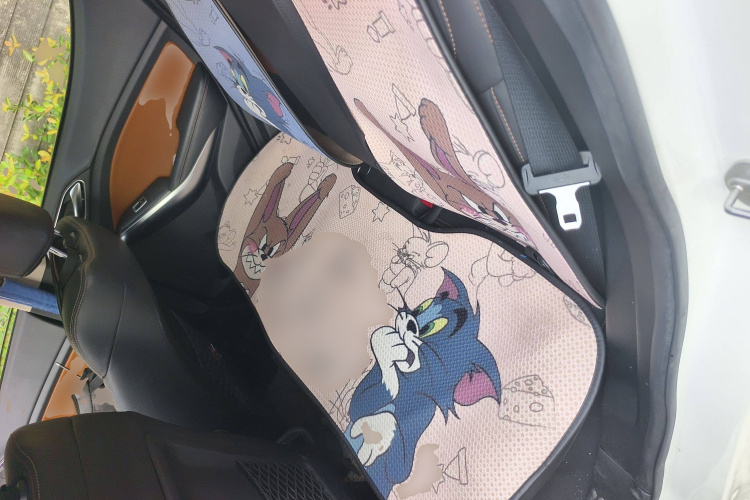 比亚迪 元 2016款 1.5TID 自动尊荣型中控内饰7004