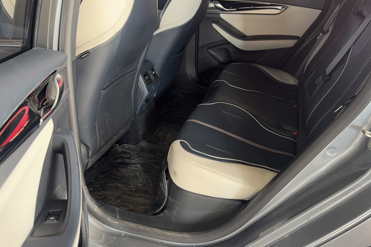 比亚迪 秦PLUS 2021款 DM-i 55KM 旗舰型中控内饰7006