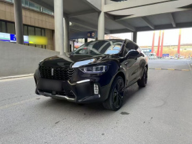 魏牌 VV5 2021款 1.5T 两驱颜先锋