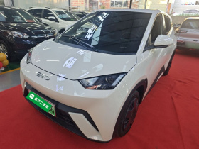 比亚迪 海鸥 2024款 荣耀版 305km 活力版