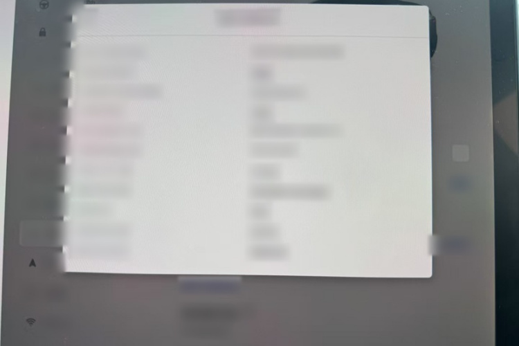 特斯拉 Model Y 2021款 标准续航后驱版局部细节9002