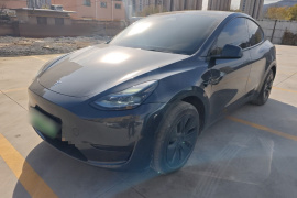 特斯拉 Model Y 2024款 后轮驱动版