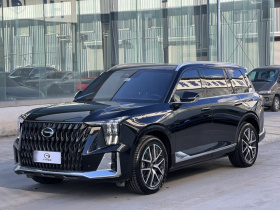 广汽传祺 传祺GS8 2022款 双擎系列 2.0TM 四驱尊贵版 （七座）