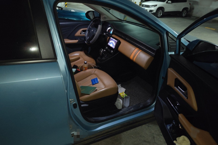 欧拉iQ 2018款 高续航版 智联型局部细节9005