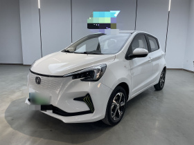 长安欧尚 奔奔E-Star 2020款 心动版 三元锂