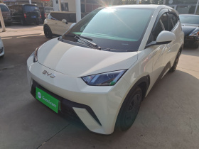 比亚迪 海鸥 2025款 305km 活力版