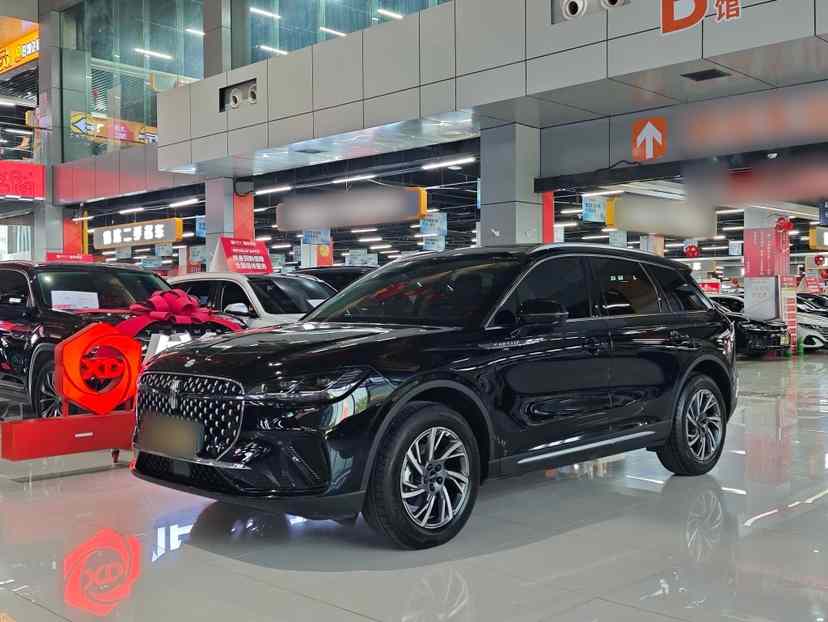 林肯 冒险家 2024款 2.0T 两驱尊享版(1)