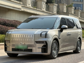 极氪009 2022款 WE版