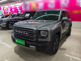 哈弗猛龙新能源 2023款 Hi4 102 探索版