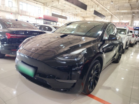 特斯拉 Model Y 2021款 标准续航后驱版