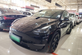 特斯拉 Model Y 2021款 标准续航后驱版