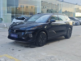 岚图汽车 岚图知音 2024款 四驱全球版