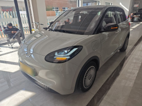 五菱汽车 五菱缤果 2023款 333km 灵犀互联款