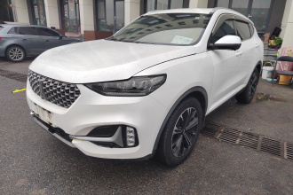 魏牌 VV6 2021款 2.0T 两驱智护+