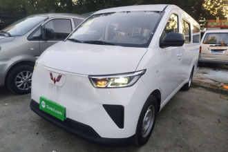 五菱汽车 五菱扬光 2024款 300KM 舒适型客车版 75kW
