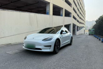 特斯拉 Model 3 2021款 标准续航后驱升级版