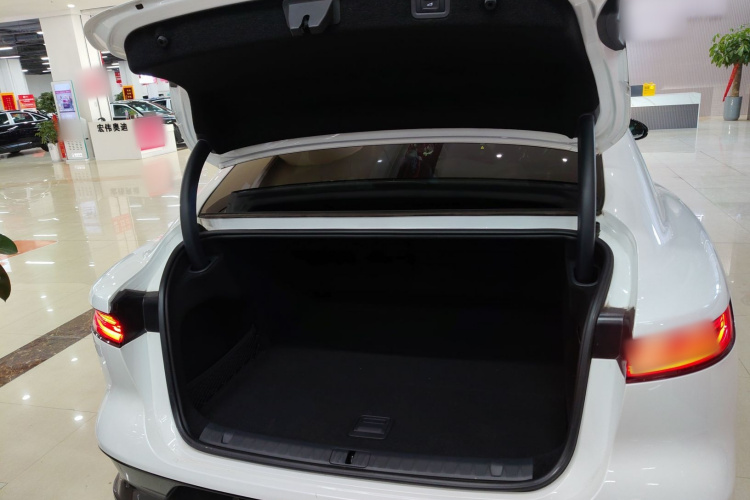 岚图汽车 岚图追光 2024款 PHEV 四驱超长续航行政版局部细节23