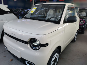 吉利银河 熊猫 2025款 210km 元气熊