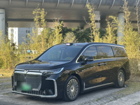岚图汽车 岚图梦想家 2025款 PHEV 四驱旗舰乾崑版