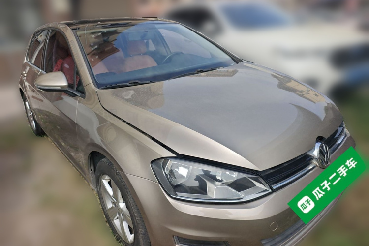 大众 高尔夫 2016款 1.6L 自动舒适型车身外观6002