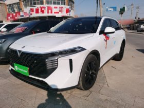 启辰大V 2021款 260T 天王版