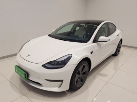 特斯拉 Model 3 2021款 标准续航后驱升级版